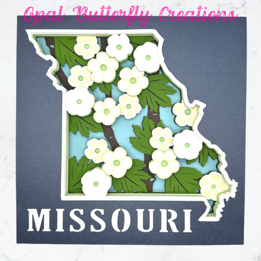 State of Missouri 3D Layered Shadow Box