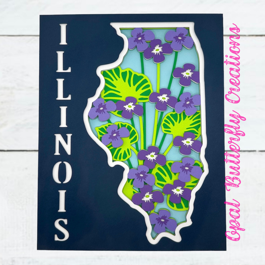 State of Illinois 3D Layered Shadow Box