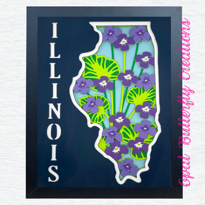 State of Illinois 3D Layered Shadow Box